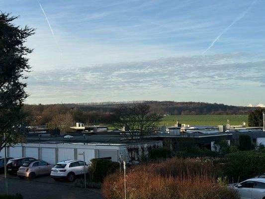 Balkonblick Königsdorfer Wald