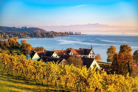 Uhldingen-Mühlhofen Gastronomie, Pacht, Gaststätten