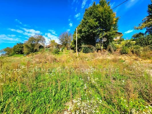 Blick aufs Grundstück