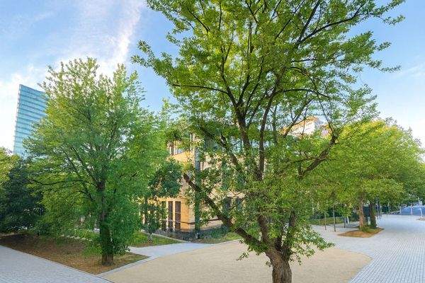 Ausblick aus den Schlafzimmer