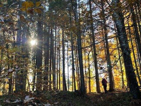 Zwiesel Gastronomie, Pacht, Gaststätten