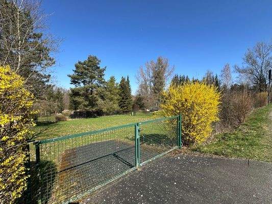 Einfahrt hinteres Grundstück (optional)