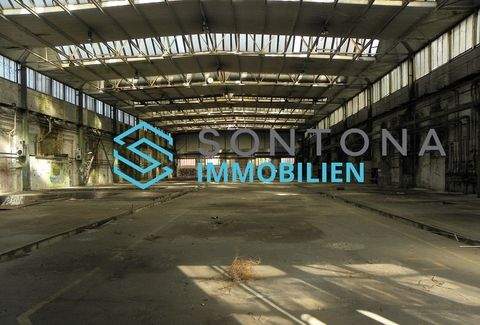 Schleswig Halle, Schleswig Hallenfläche