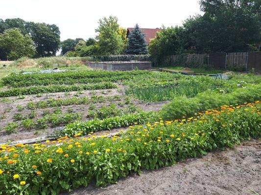 Impressionen Sommer25 (8).JPG