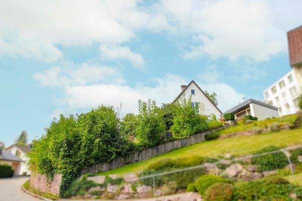 Seitliche Hausansicht