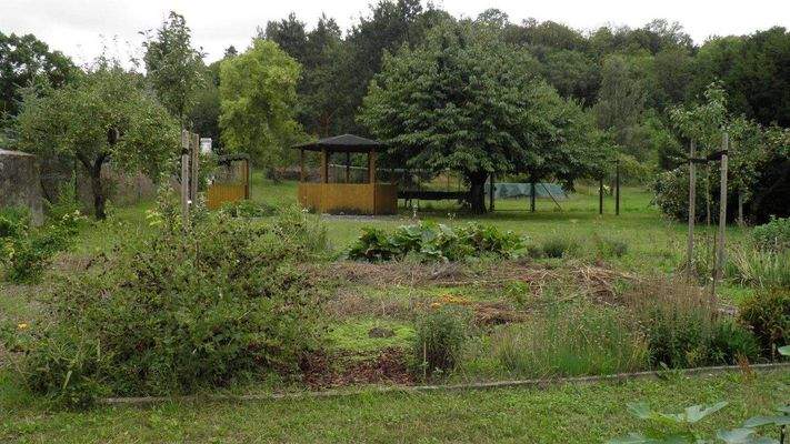 Garten / mögliche Bestellfläche