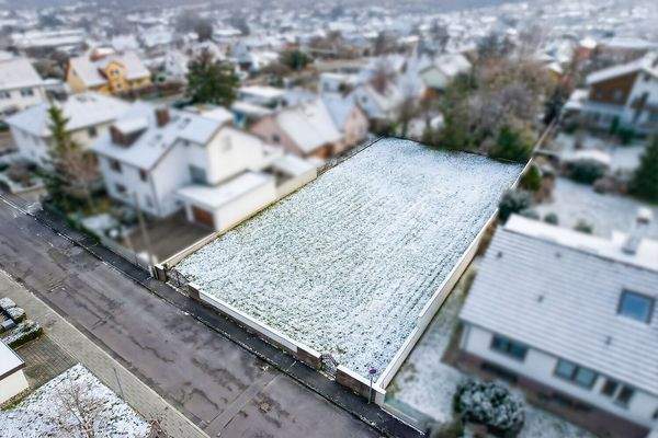 Grundstück digital geräumt (Visualisierung)
