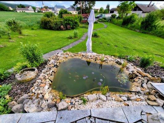 Teich vor der Terrasse