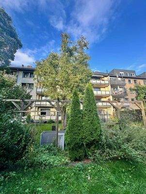 Grünfläche hinter den Häusern