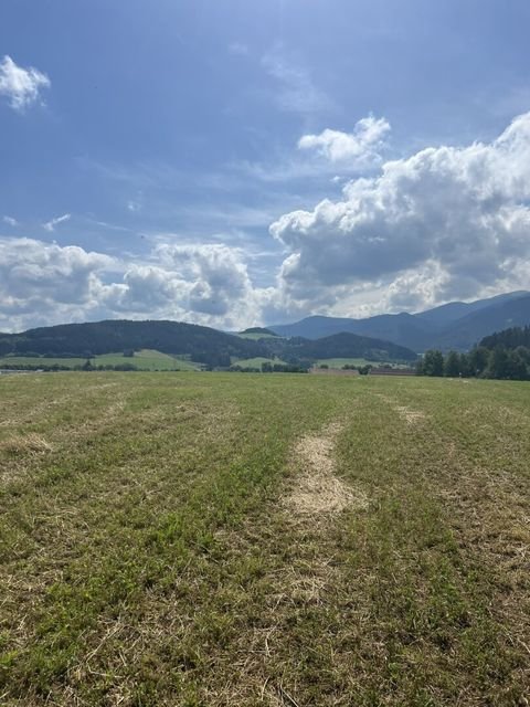 Weißkirchen in Steiermark Bauernhöfe, Landwirtschaft, Weißkirchen in Steiermark Forstwirtschaft