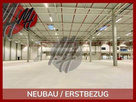 Ibbenbüren Halle, Ibbenbüren Hallenfläche