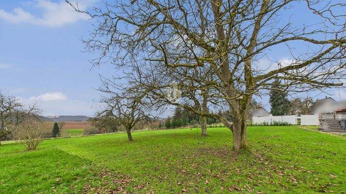 großzügiger Garten