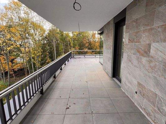 IMG_7537 2024-10-28 12_31_00.JPG