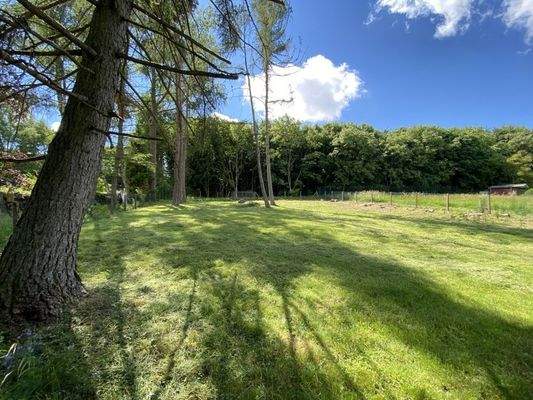 Grundstück am Waldrand