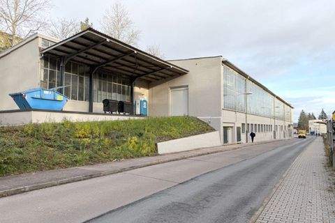 Gera Halle, Gera Hallenfläche