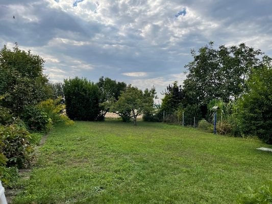 toller Garten für Ihre Kids zum Spielen und Toben