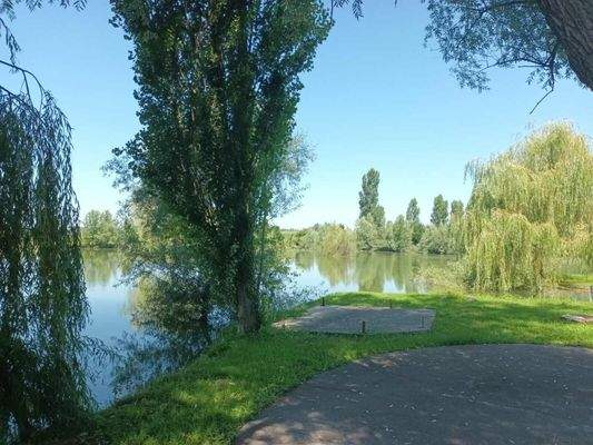 WhatsApp Image 2023-07-22 at 17.54.00