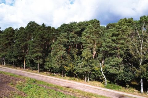 Lachendorf Grundstücke, Lachendorf Grundstück kaufen