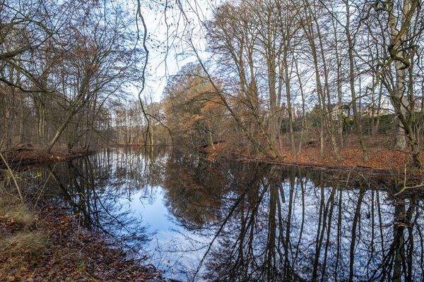 Naturschutzgebiet unmittelbar am Grundstücksende