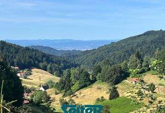 3 ausblick.jpg