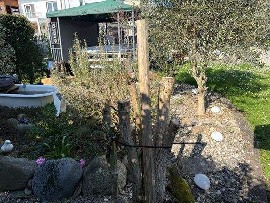 Garten mit Blick auf die Terrasse