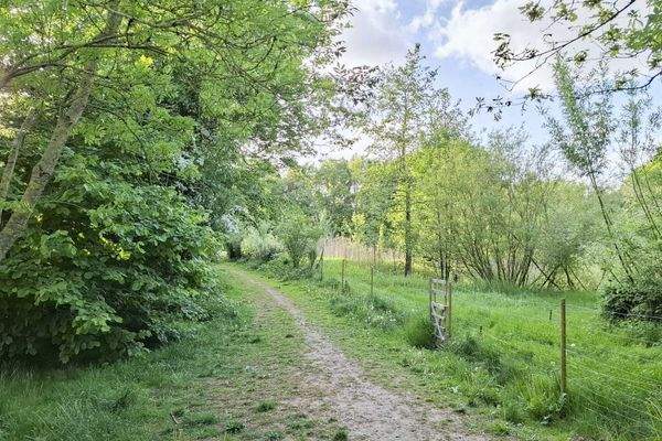 Weg zur Wiese am Biotop