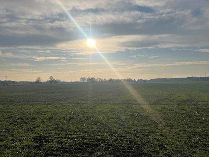 Blick vom Grundstück