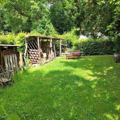 Grüner Garten mit Sitzbank