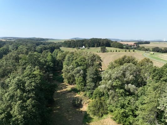 Luftaufnahme - Blick Richtung Westen inkl. Baumkronen