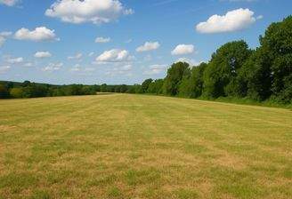 WhatsApp Bild 2025-12-08 um 13.04.48_d55fe403.jpg