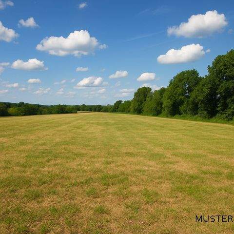 Trier Grundstücke, Trier Grundstück kaufen