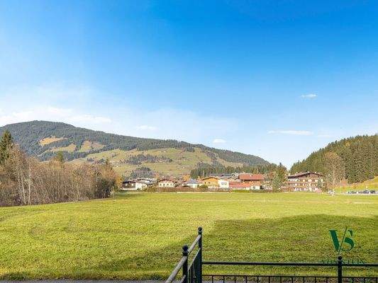 Grünblick von Terrasse