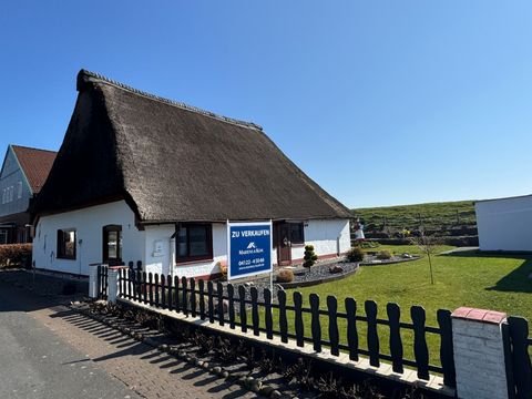Uetersen Häuser, Uetersen Haus kaufen