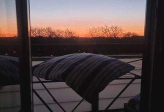 gemütlicher Laubengang zum relaxen .jpg