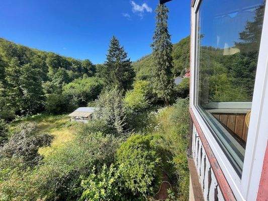 004020156800_302_299_12092023153446865