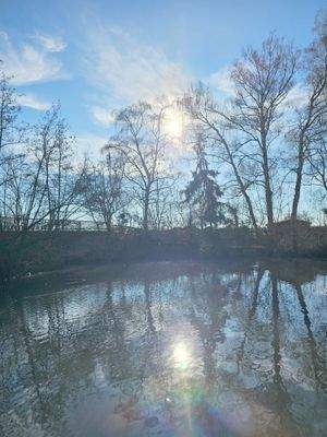Teich vor dem Grundstück