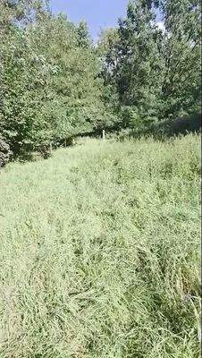 Grundstück - Baufläche