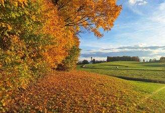 Natur, See, Heimat