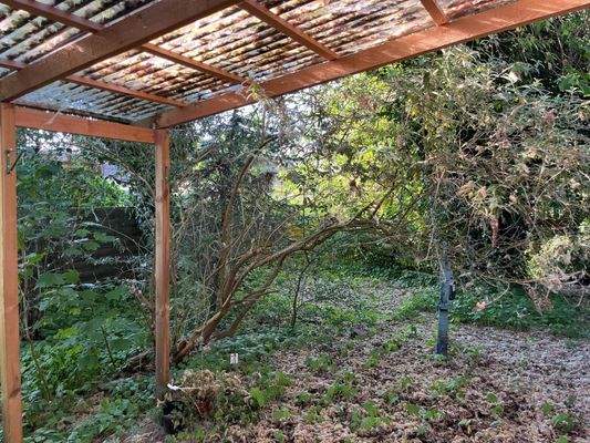 Überdachte Terrasse zum Garten