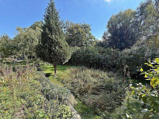 hinterer Gartenbereich 