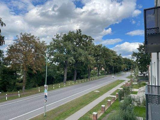 Blick von Balkon auf Straße