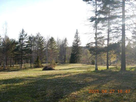 Weiden südlich vor dem Wohnhaus