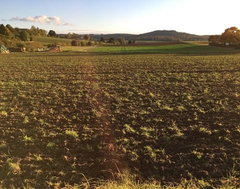 Bad Emstal - Balhorn Grundstücke, Bad Emstal - Balhorn Grundstück kaufen