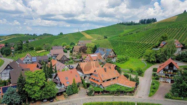 Drohnenaufnahme Weinberge