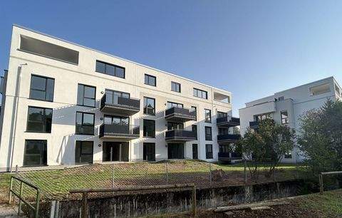 Lohr am Main Wohnungen, Lohr am Main Wohnung mieten