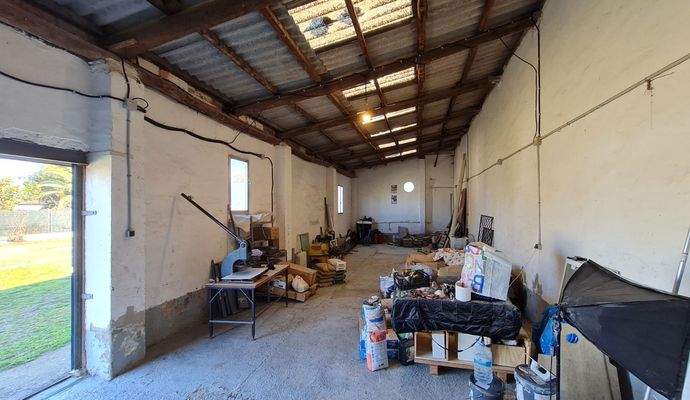 WhatsApp Image 2025-02-12 at 17.32.06 (39).jpeg