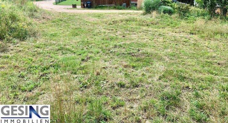 Blick vom Hang Richtung Zuwegung