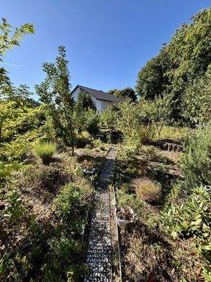 Ein Blick in den Garten