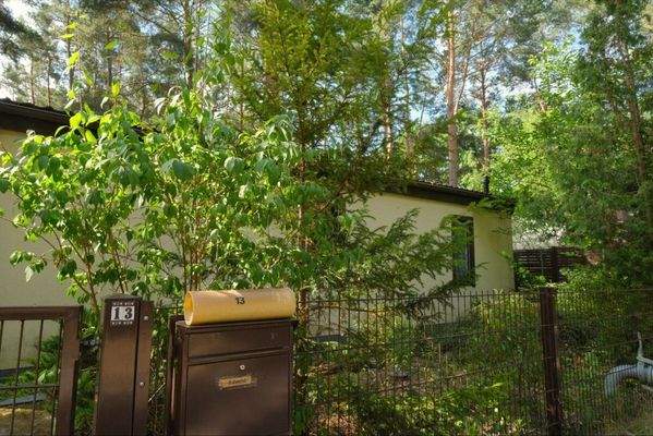 Südansicht auf Bungalow