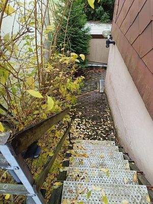 Weg seitlich führt hinter das Haus